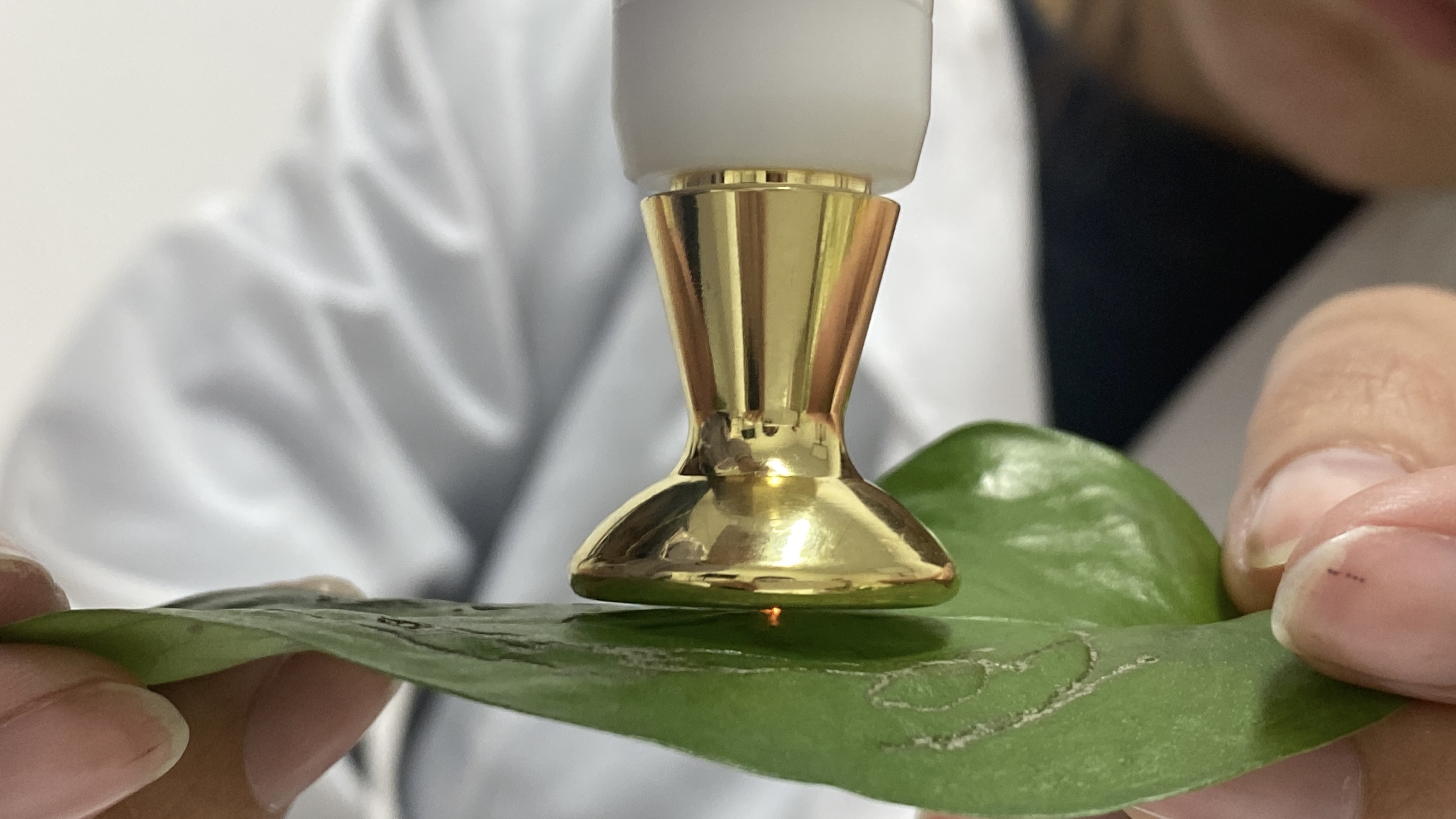 cold plasma device cost