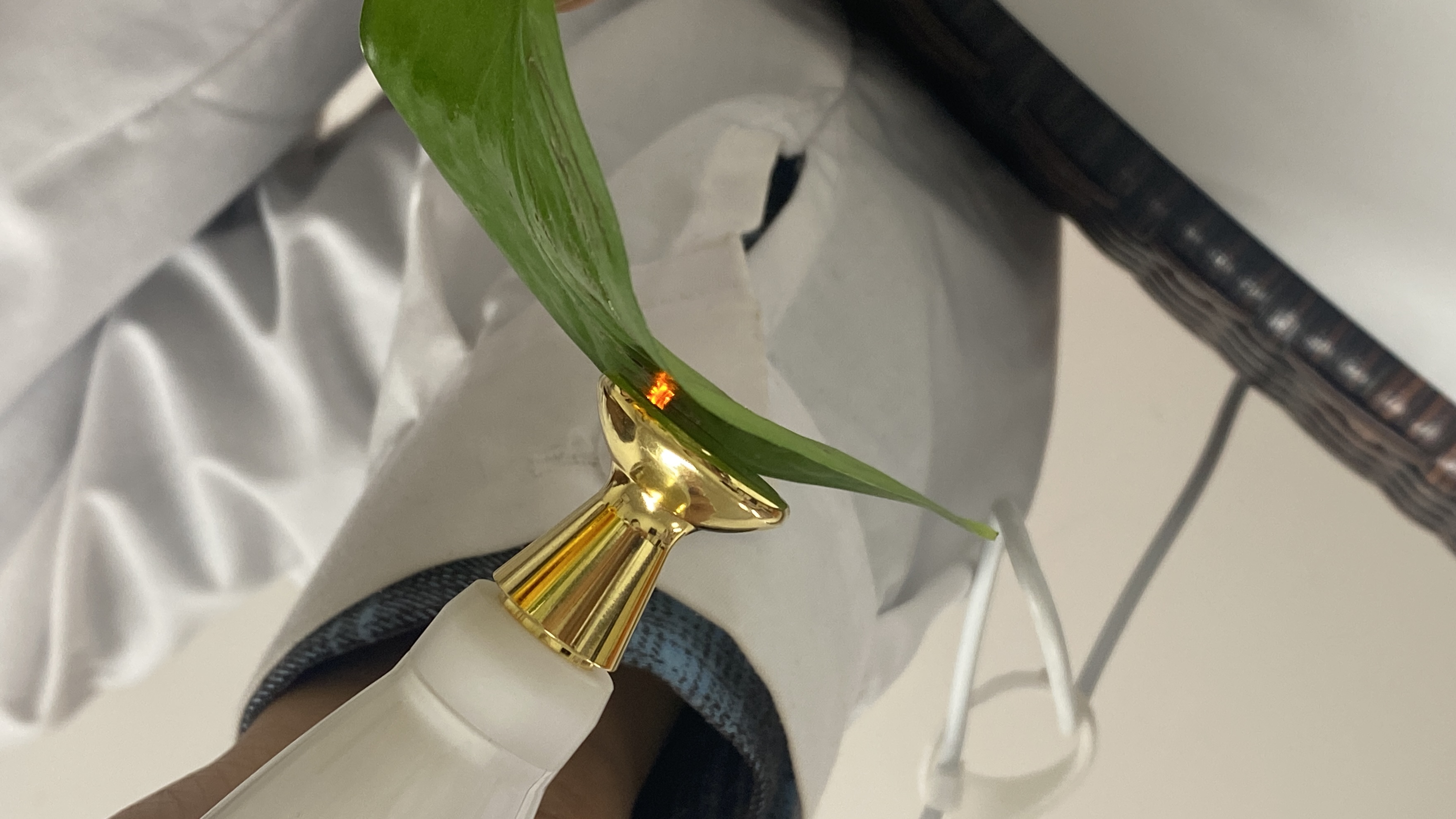 cold plasma and plasma fibroblast machines